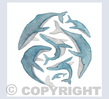 Circle Collection