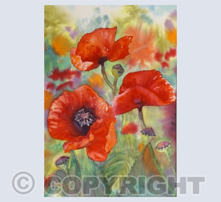 Flowers, Plants and Shells