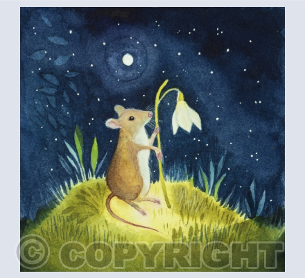 Cards with words on inside cover