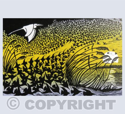 Birds in the landscape
