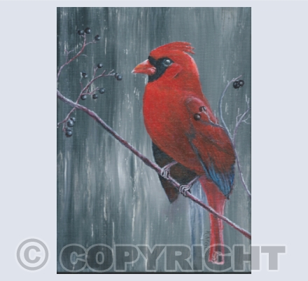 Birds