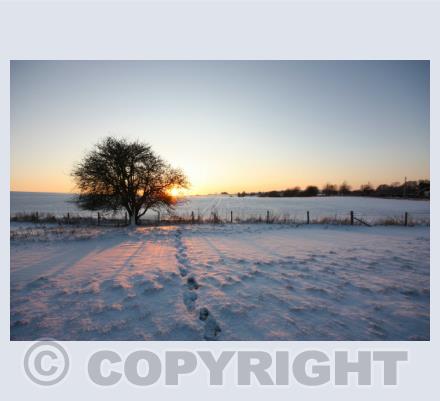  Winter themed 