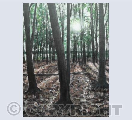 Landscapes