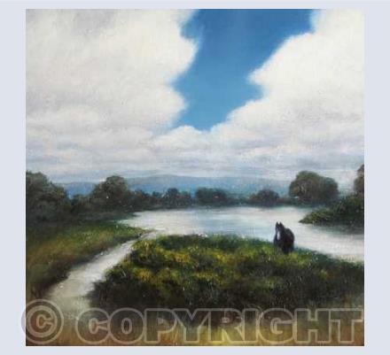 Landscapes