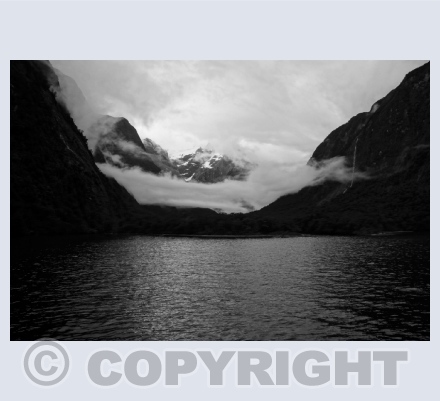 Photographs
