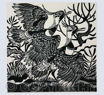 Birds woodcuts