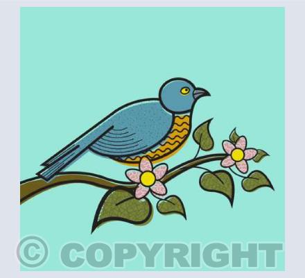 The Birds