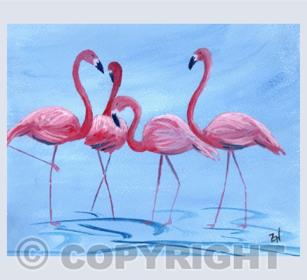 Flamingo Cards