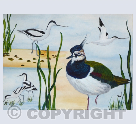 Birds