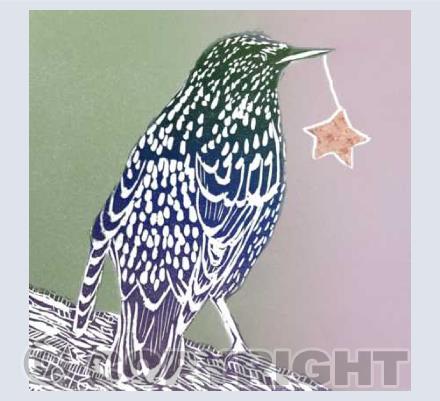 Christmas: Birds