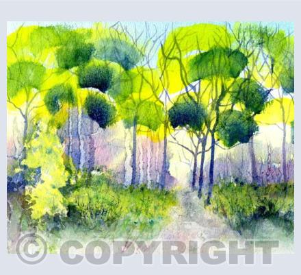 Landscape