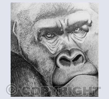Ashpole Animal Art gift cards