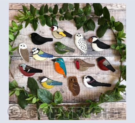 Birds