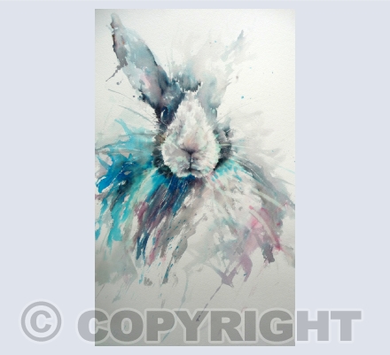 Animals Birds and Bees