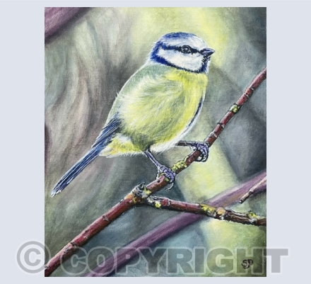 Birds