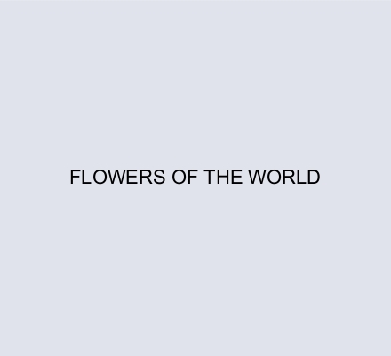 FLOWERS OF THE WORLD