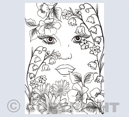 Sketches & Line Art 