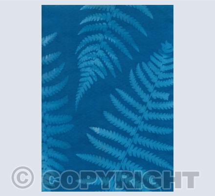 Sun Print Designs