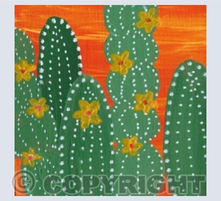 Cacti & Succulents