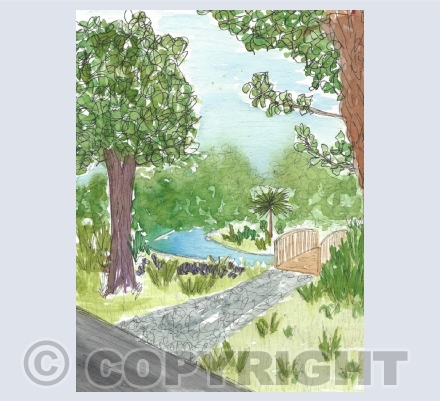 Landscapes & Trees