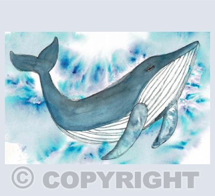 Creatures of the Sea