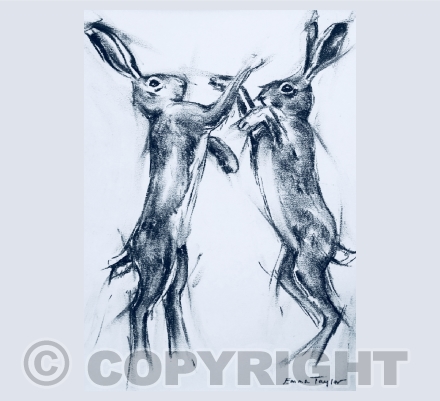 Hares