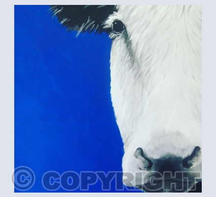 Farm animals