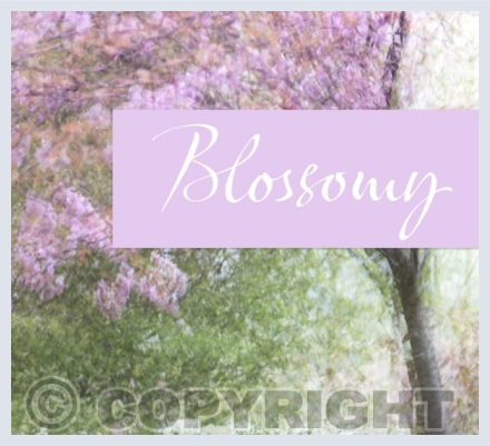 Blossomy