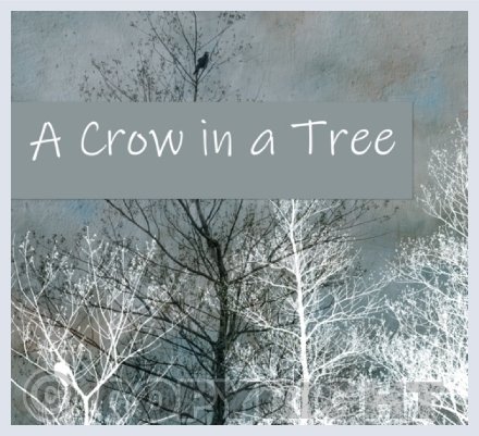 A Crow in a Tree