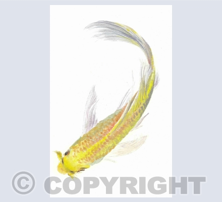 Fish Art