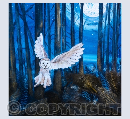 Owls
