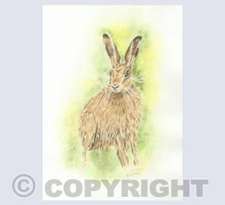 Hares