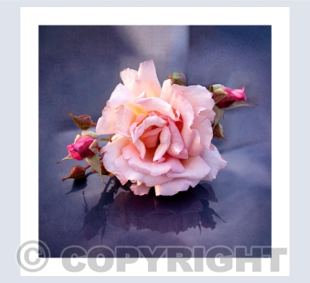 Floral Art
