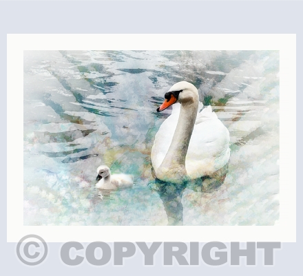 Creatures Great and Small