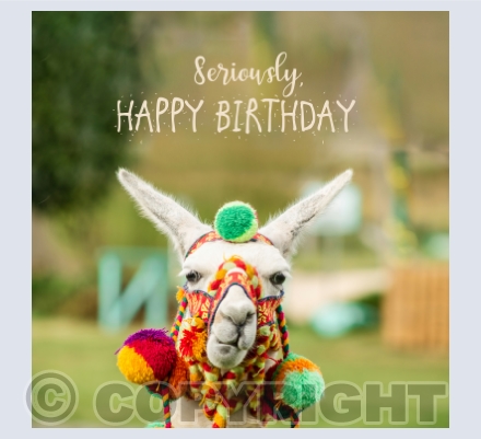 Birthday