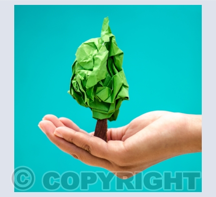 Environment