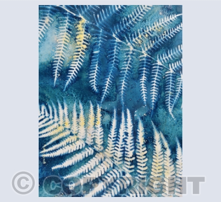 Cyanotypes