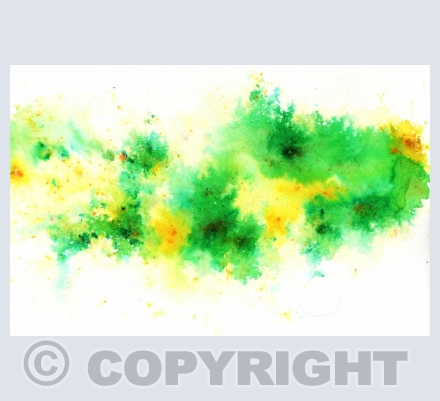 Abstract landscapes and flowers