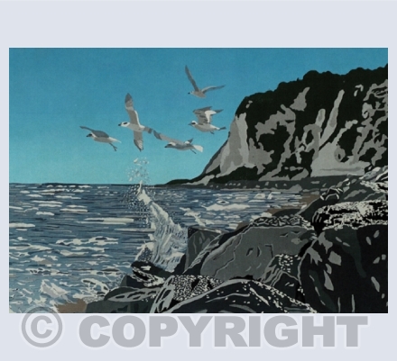 Seascapes and Water