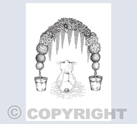 Illustrations