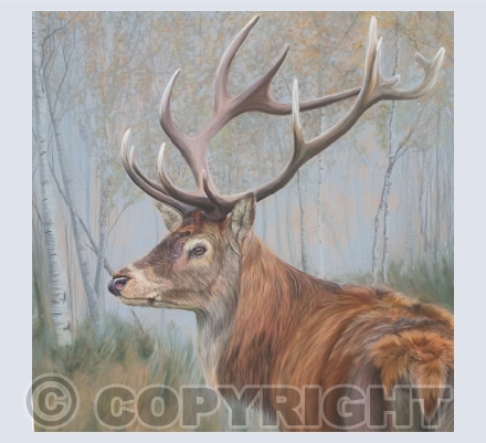 Wildlife