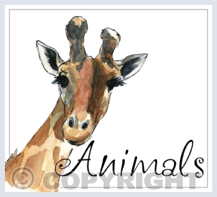Animals