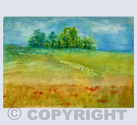 Landscapes
