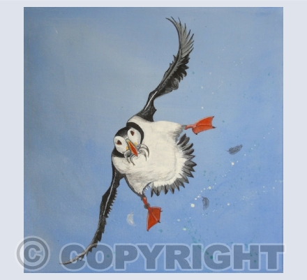 Birds