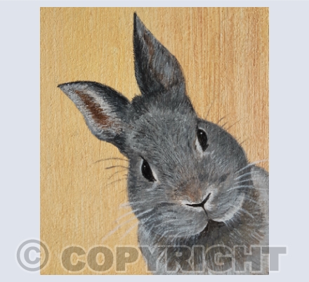 Rabbits