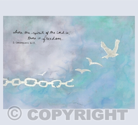 Freedom Flying