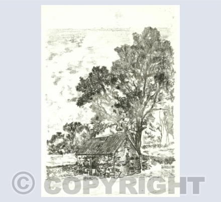 Under the Oak