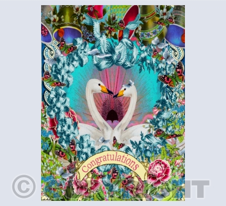 Wedding, Civil Ceremony, Engagement & Anniversary