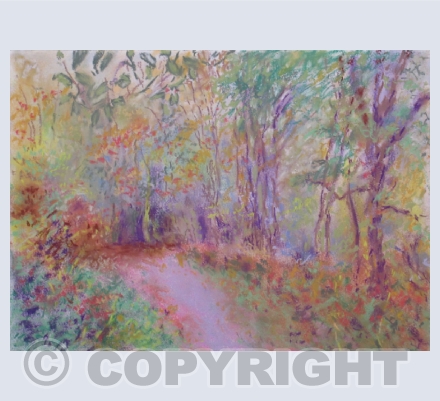 LANDSCAPES