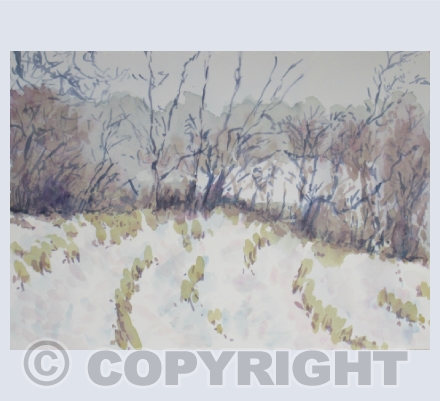 TREES